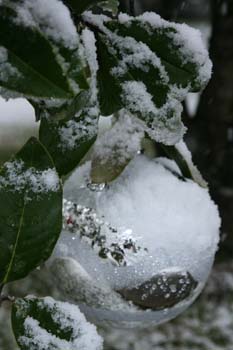 IMG_1452e